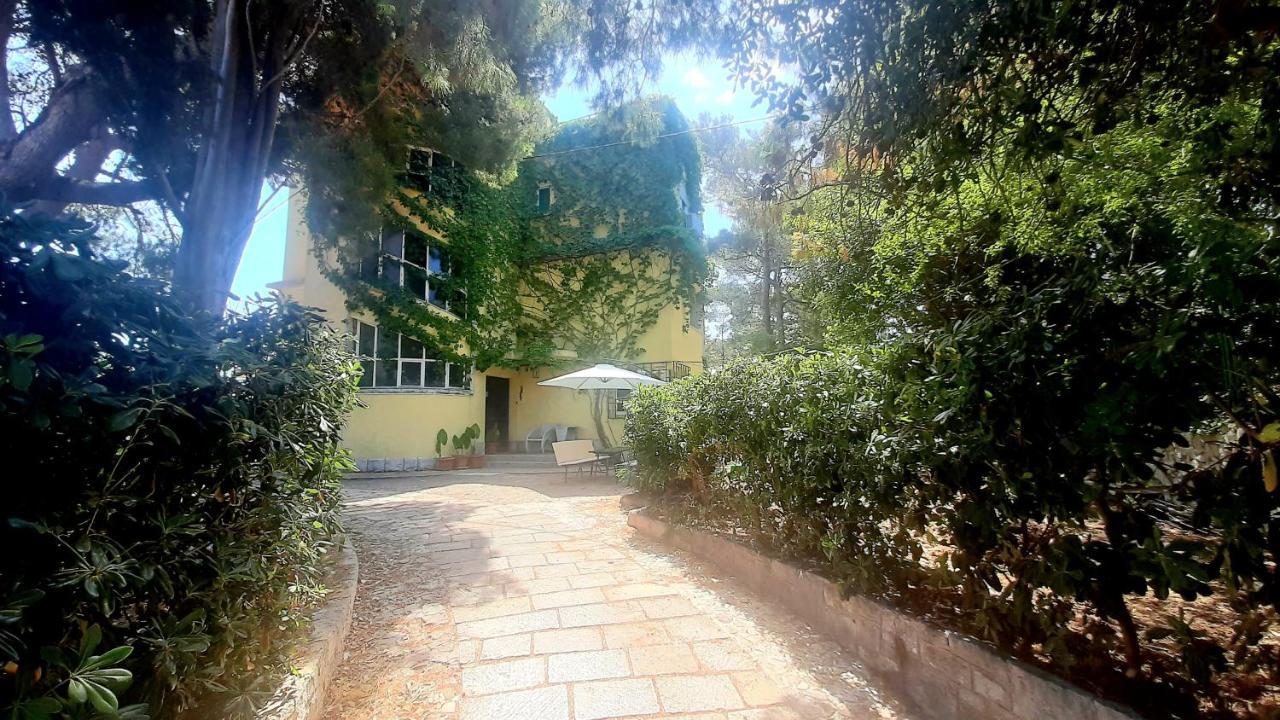 Old Captain'S Apartments - In A Pine Wood By The Sea And Tennis Courts Split Exterior foto